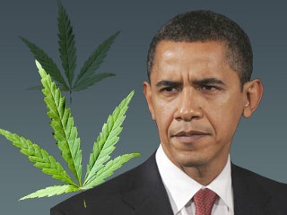 President Obama: Legal Recreational Marijuana Should Not Be Top Federal Priority